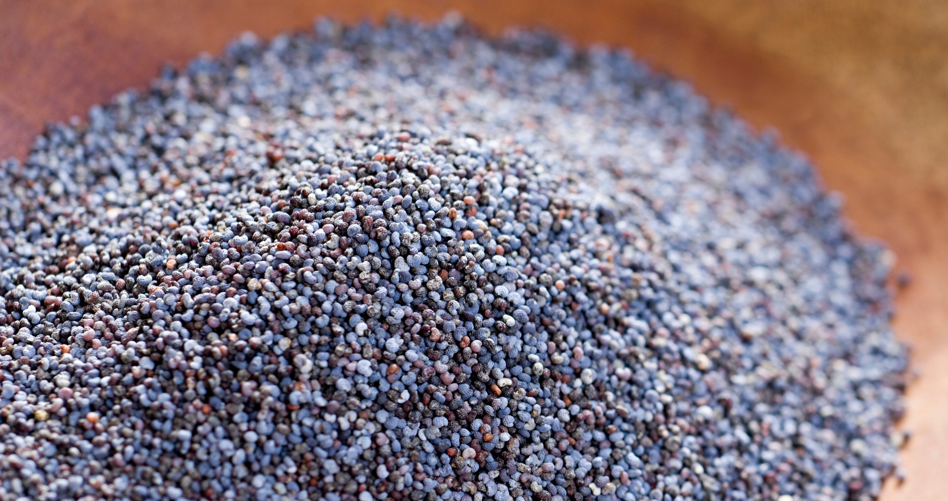 poppy-seeds