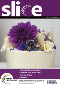 slice-54